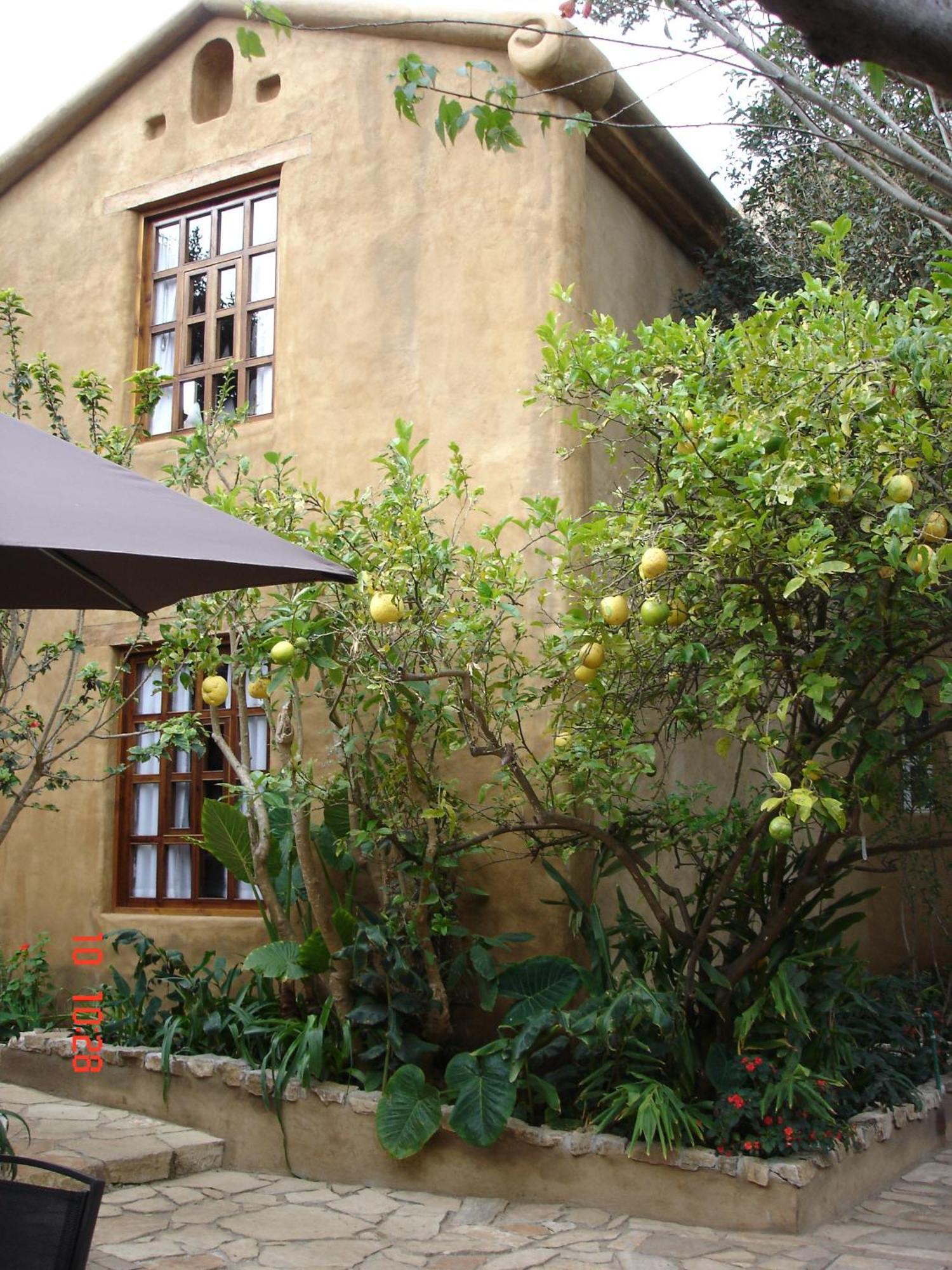 Guayaba Inn Boutique Hotel San Cristóbal de Las Casas المظهر الخارجي الصورة